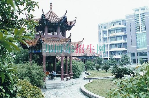 高中沒畢業(yè)可以學軟件技術嗎