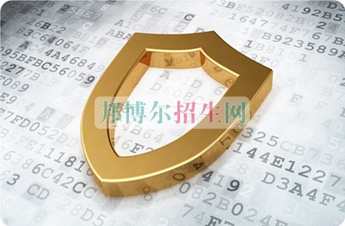 計算機網(wǎng)絡技術(shù)理論包括什么