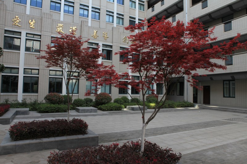 南京衛(wèi)生高等職業(yè)技術(shù)學(xué)校怎么樣、好不好