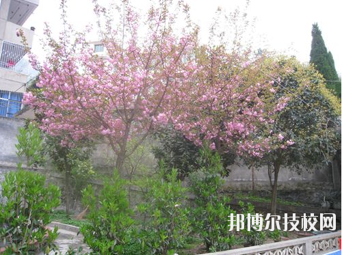 嵐皋縣中等職業(yè)技術(shù)學(xué)校2020年報(bào)名條件、招生要求、招生對象