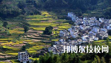 江西婺源茶葉學校2020年報名條件、招生要求、招生對象
