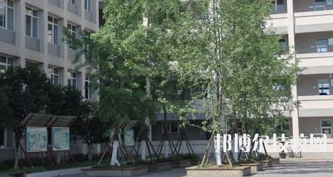 張掖市育才技工學(xué)校2020年招生錄取分數(shù)線