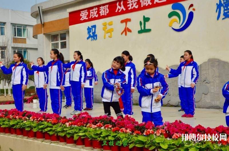成都市特殊教育中等職業(yè)技術(shù)學校2020年報名條件、招生要求、招生對象