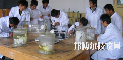 臨夏農(nóng)業(yè)學(xué)校2020年學(xué)費(fèi)、收費(fèi)多少