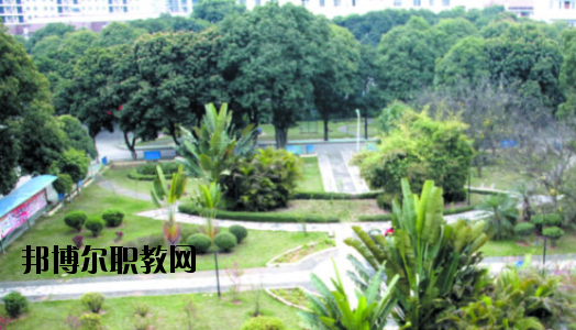 廣西百色農(nóng)業(yè)學(xué)校2020年報(bào)名條件、招生要求、招生對(duì)象 