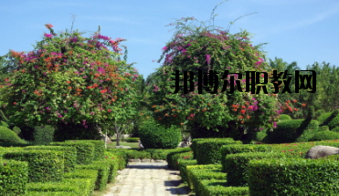 甘南畜牧學(xué)校怎么樣、好不好