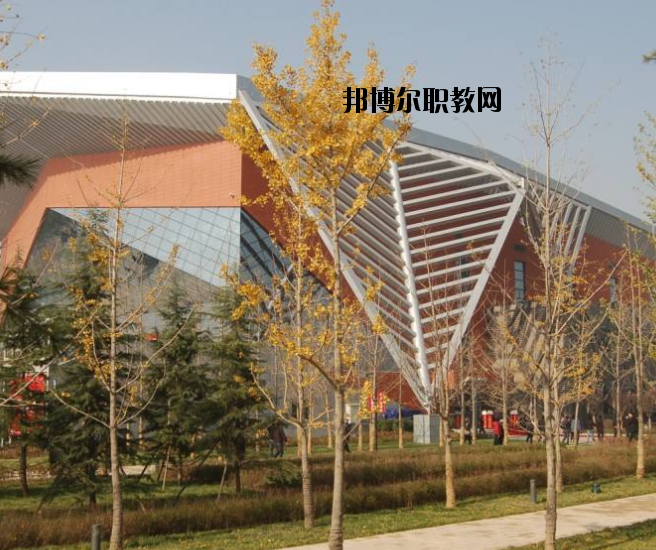 宜昌體育運(yùn)動(dòng)學(xué)校怎么樣、好不好