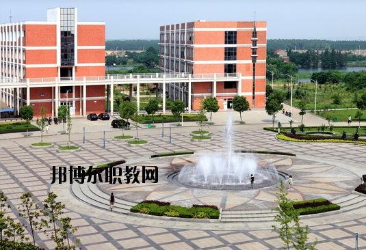 蕪湖信息科技學校2020年報名條件、招生要求、招生對象