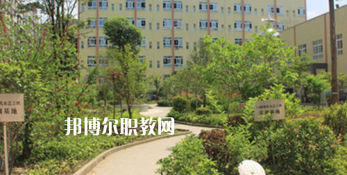 道真中等職業(yè)學(xué)校2020年報(bào)名條件、招生要求、招生對(duì)象
