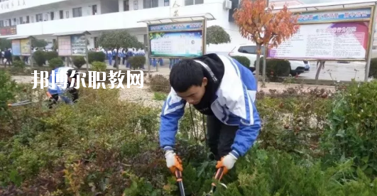 秦安縣古城農(nóng)業(yè)中學(xué)怎么樣、好不好