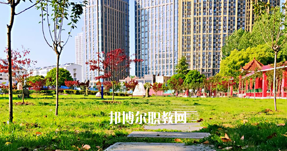 合肥飛躍學(xué)校2020年報(bào)名條件、招生要求、招生對(duì)象 