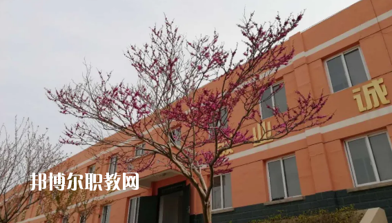 成縣化埡農(nóng)職業(yè)中學(xué)怎么樣、好不好