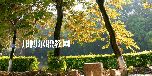 廣西民族中等專業(yè)學校怎么樣、好不好