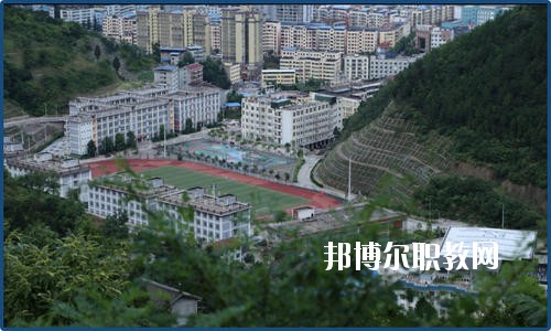 廣元朝天職業(yè)中學(xué)2020年報(bào)名條件、招生要求、招生對象