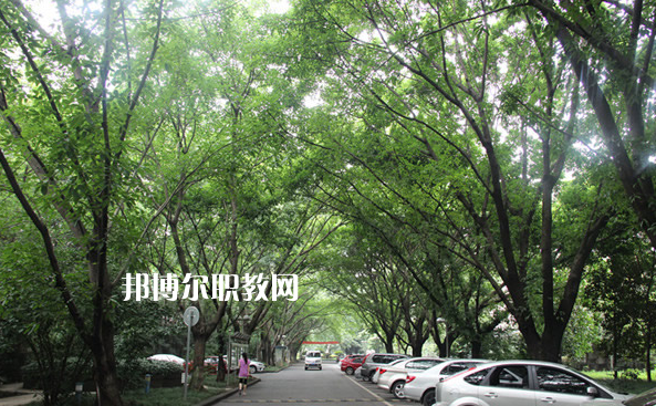 重慶2021年中專(zhuān)學(xué)?？梢钥即髮W(xué)嗎