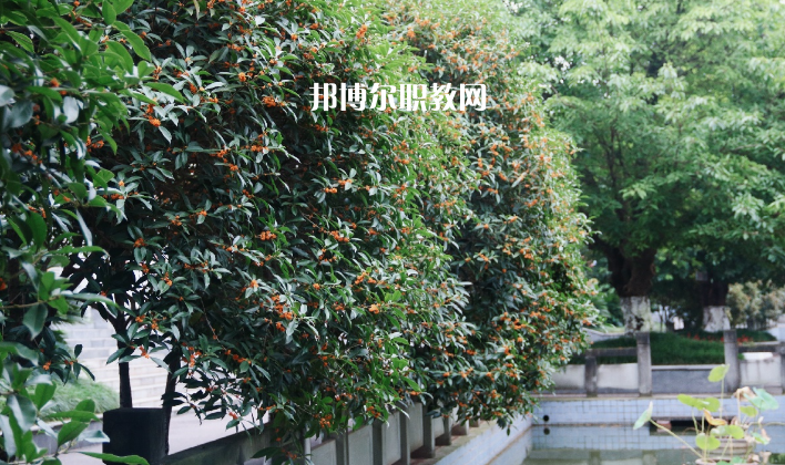 德陽通用電子科技學(xué)校怎么樣、好不好