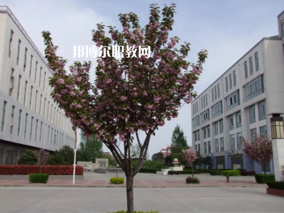 陳倉(cāng)區(qū)職業(yè)教育中心2022年報(bào)名條件、招生要求、招生對(duì)象