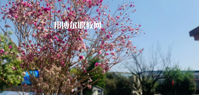 成都華大醫(yī)藥衛(wèi)生學校怎么樣、好不好