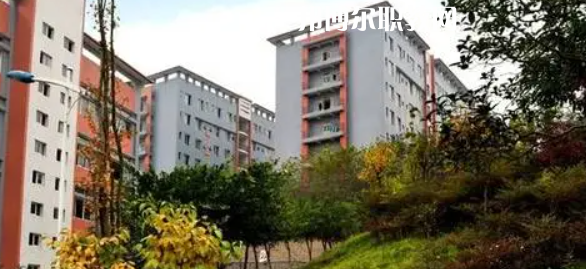 四川市綿竹職業(yè)中專學(xué)校2022年報(bào)名條件、招生要求、招生對象