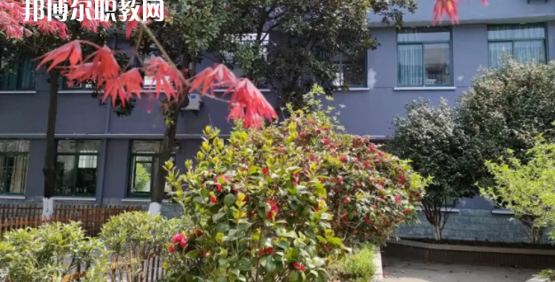 杭州僑星中學(xué)地址在哪里，哪個地區(qū)，哪個城市?