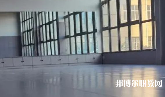 2023秦皇島市藝新舞蹈學校招生計劃 招生人數(shù)是多少(附要求、條件、對象)