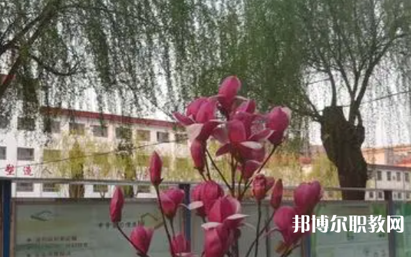 2023柏鄉(xiāng)縣職教中心招生計劃 招生人數(shù)是多少(附要求、條件、對象)