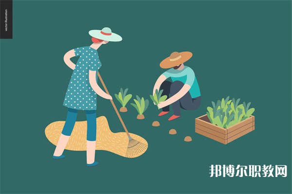 貴州哪里的職業(yè)學校能讀社會公共事務(wù)專業(yè)