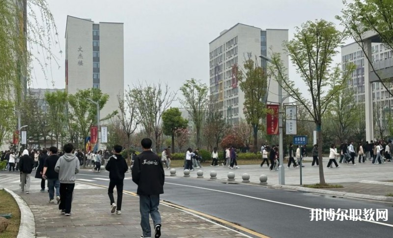2025合肥技師學(xué)院招生計劃 招生人數(shù)是多少(附要求、條件、對象)