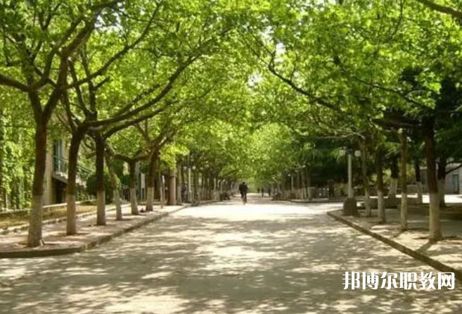 成都2025年讀鐵路學(xué)?？梢钥即髮W(xué)嗎